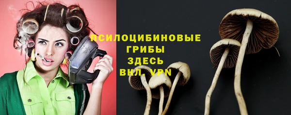 спайс Абинск