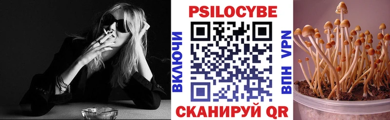 ОМГ ОМГ онион Шацк Галлюциногенные грибы Magic Shrooms